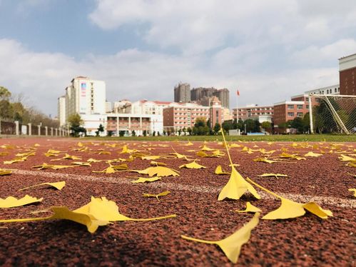 2024年昆明高新区高新实验高中教师招聘公告