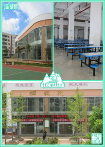 昆明市轿子山实验中学欢迎您