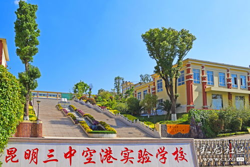 高考补习,学画画 驾驶 足球 篮球 茶艺 乒乓,这份暑假指南请收下